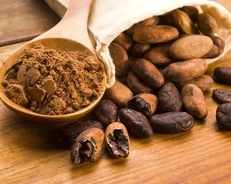 Какао защищает клетки мозга