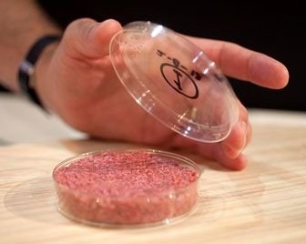 В Голландии разработали технологию производства мяса из стволовых клеток